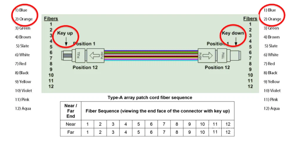 MPO-to-MPO straight-through trunk cable (Type A) with key orientation MPO-to-MPO straight-through trunk cable (Type A) with key orientation