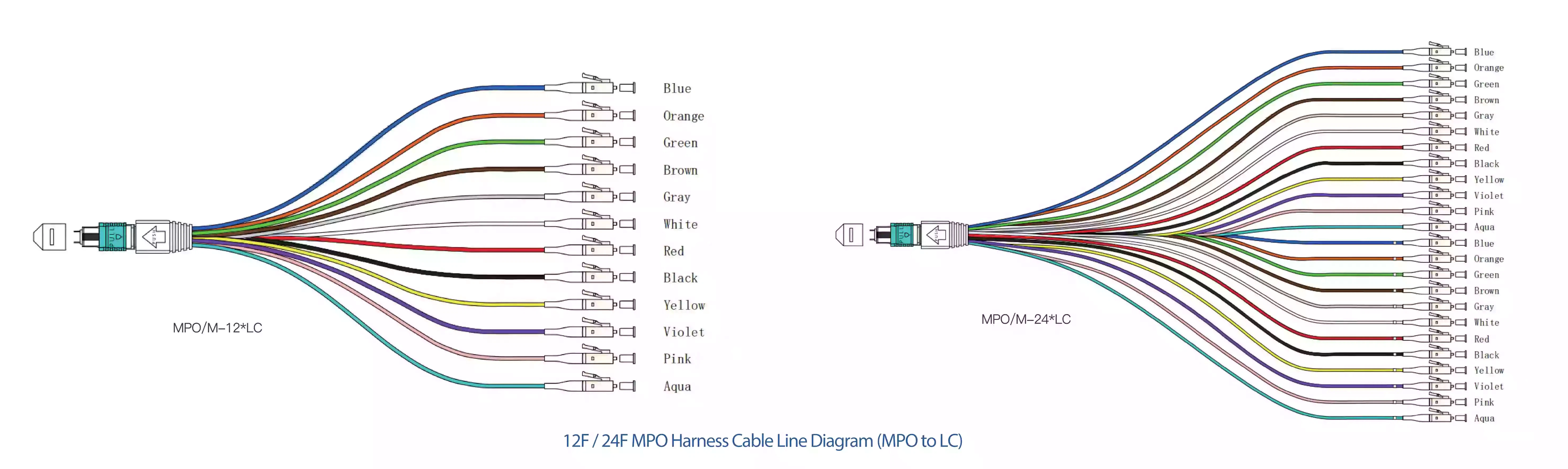 12F or 24F MPO Harness Cable Line Diagram MPO to LC 12F or 24F MPO Harness Cable Line Diagram MPO to LC